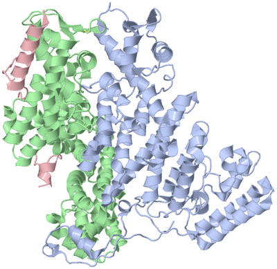 Image Asym./Biol. Unit