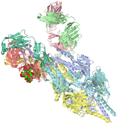 Image Asym./Biol. Unit