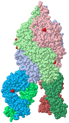 Image Biological Unit 1