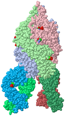 Image Biol. Unit 1 - sites