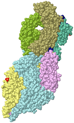 Image Biological Unit 2