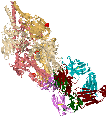 Image Biological Unit 3