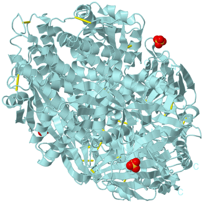 Image Biological Unit 1