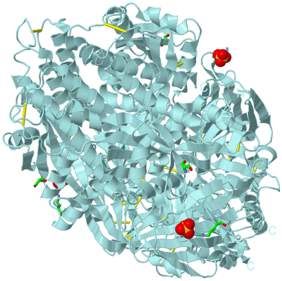 Image Biol. Unit 1 - sites