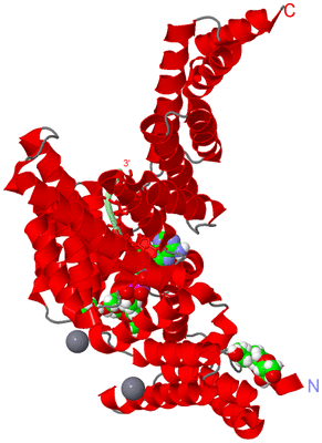 Image Asym./Biol. Unit