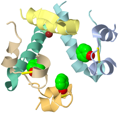 Image Biological Unit 1