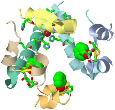 Image Biol. Unit 1 - sites