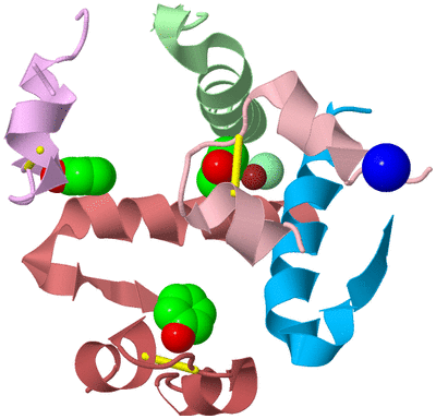 Image Biological Unit 2