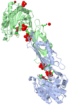 Image Asym./Biol. Unit - sites