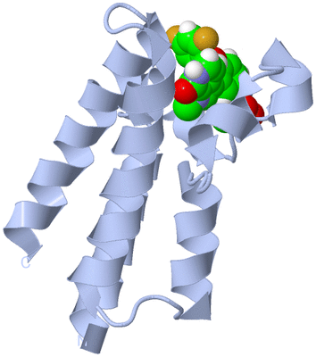 Image Biological Unit 1