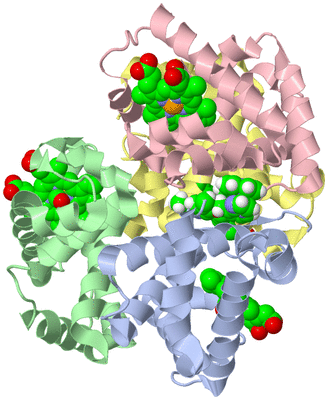 Image Asym./Biol. Unit