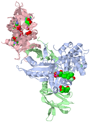 Image Biological Unit 1