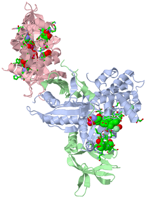 Image Biol. Unit 1 - sites