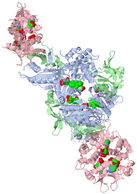 Image Biological Unit 2