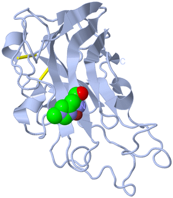 Image Biological Unit 1