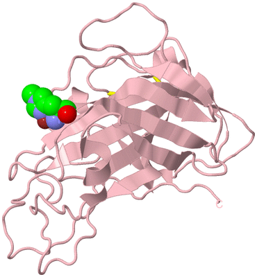 Image Biological Unit 3