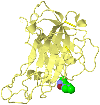 Image Biological Unit 4