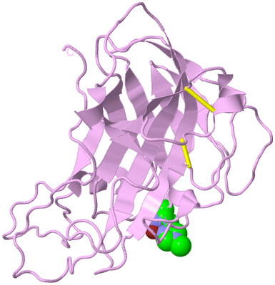 Image Biological Unit 5