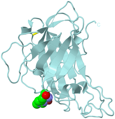 Image Biological Unit 6