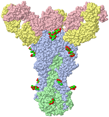 Image Biological Unit 1