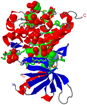 Image Asym./Biol. Unit - sites