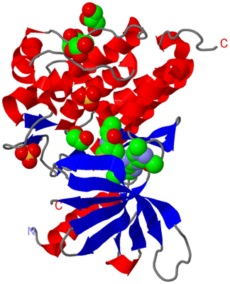 Image Asym./Biol. Unit