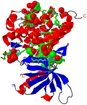 Image Asym./Biol. Unit - sites