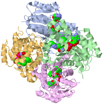 Image Asym./Biol. Unit