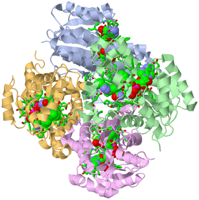 Image Asym./Biol. Unit - sites