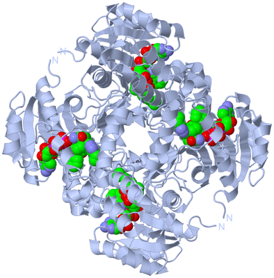 Image Biological Unit 1