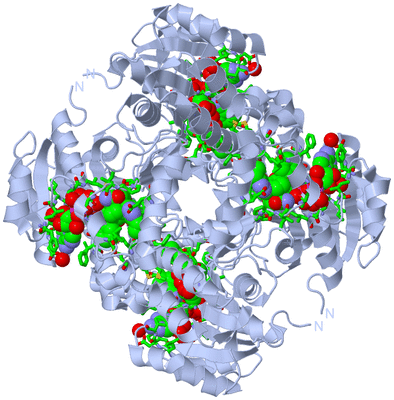 Image Biol. Unit 1 - sites