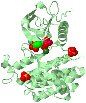 Image Biological Unit 1