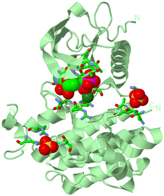 Image Biol. Unit 1 - sites