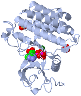 Image Biological Unit 2