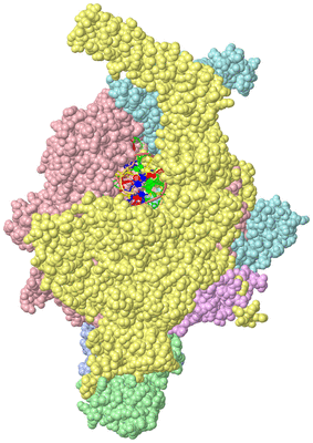 Image Asym./Biol. Unit