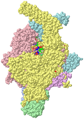 Image Asym./Biol. Unit - sites