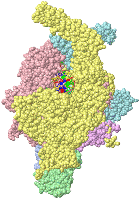 Image Asym./Biol. Unit