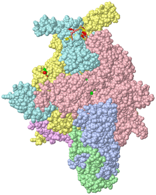 Image Asym./Biol. Unit - sites