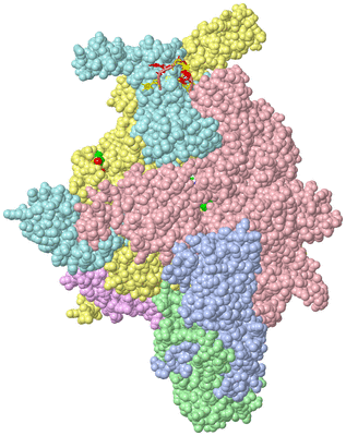 Image Asym./Biol. Unit - sites