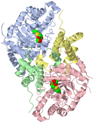 Image Asym./Biol. Unit