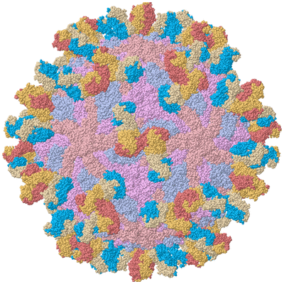 Image Biological Unit 1