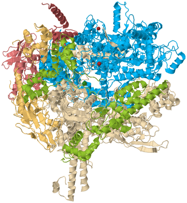 Image Asym./Biol. Unit