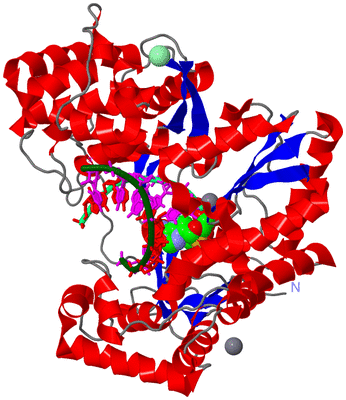 Image Asym./Biol. Unit