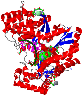 Image Asym./Biol. Unit - sites