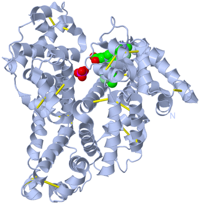 Image Biological Unit 1