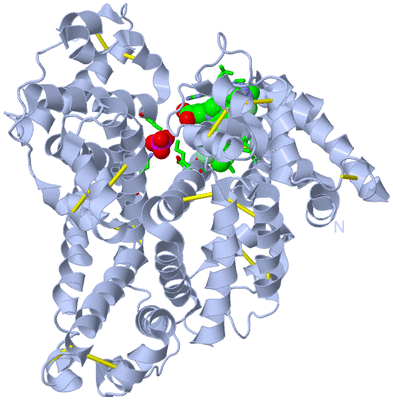 Image Biol. Unit 1 - sites