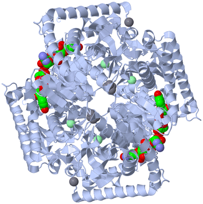 Image Biological Unit 1