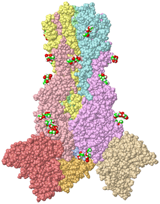 Image Asym./Biol. Unit