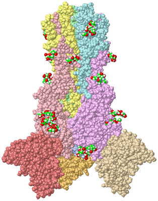 Image Asym./Biol. Unit - sites