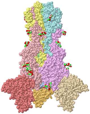 Image Asym./Biol. Unit